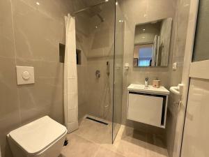 City Center 1 bedroom apt Myslym Shyri 11 A