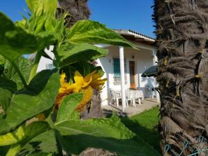 Bungalow bei Emma