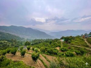 Pahadi Paradise homestay