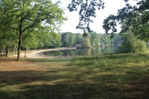 De Robijn