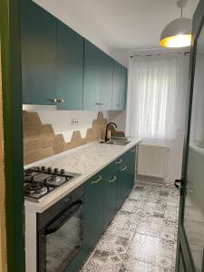 Apartament Tudor