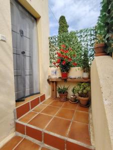 Reka Casa