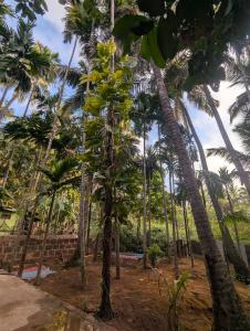 Hindlekar home stay