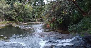 Alojamiento Finca Neypa