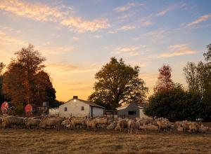 Cozy Farm Cottage with Fireplace on Stanmore Farm