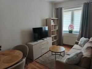 Apartament Międzylesie