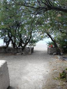 Meraviglia in riva al mare