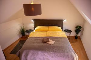 Luxury Thermal Apartment