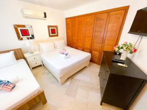 CARIBBEAN Homes VILLAS APARTMENTS HOTEL playa LOS CORALES - wifi, bbq-grill, beach club
