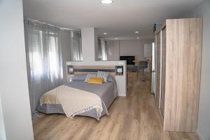 Beautiful loft in Apartamentos Parrillada, Ourense
