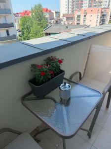 Apartament Centrala 22