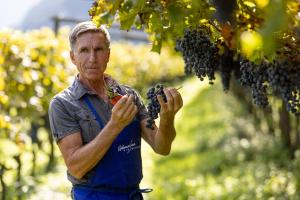 Bio Weingut Sanin