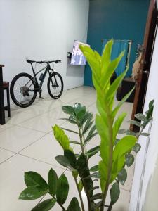 Casa green lugar espacio Rústico, privado y acogedor
