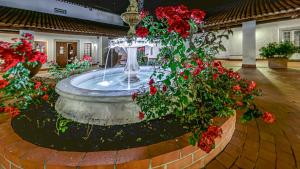 Herdade das Bernardas B&B