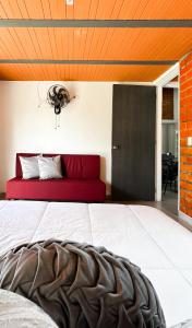 Luxury Stay in Colombias Coffee Region