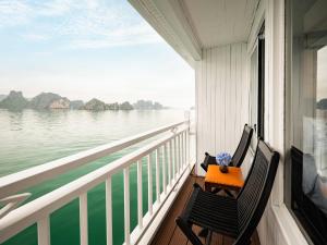 Cozy Bay Cruise
