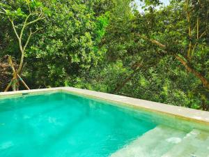 The Nest Villa - Jungle Escape - 2bed Kuta Heights
