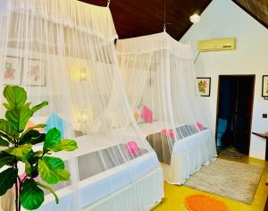 Dream Cabins udawalawe