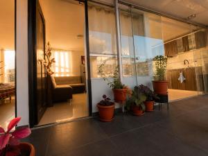 Natytas House