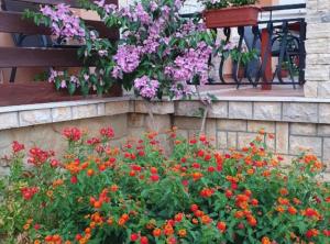 Andrija Sea View Apartments