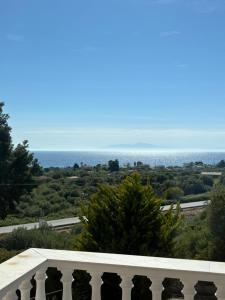 Olive Tree House