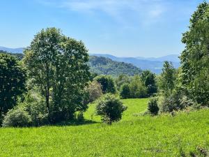 Wilcza Osada Wellness Resort
