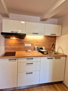 City Center Apartments - Měšťanský dům Minoritská II