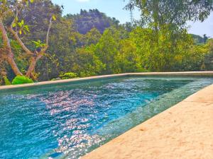 The Nest Studio - Jungle Cocoon 1Bed Kuta Heights