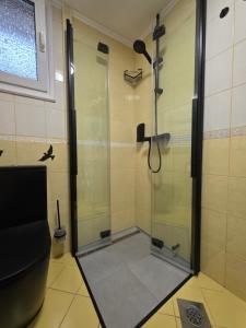 Apartment Jurček with jacuzzi & sauna