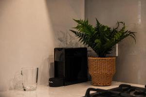 2BR Urban Jungle Escape Walk to Everything