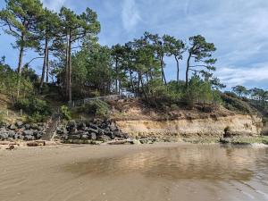 Les petites vagues - Meschers-sur-Gironde