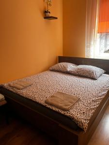 Apartament Witosa