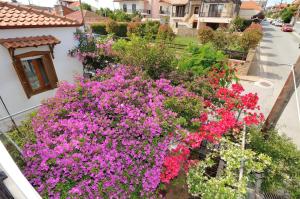 Rodon Apartments - S Avdimioti