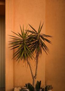 The Riad by Blue Waves