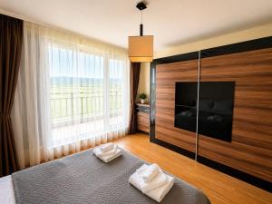 One-bedroom apartment with Mountain Views