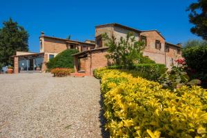 Amazing Chianti Site
