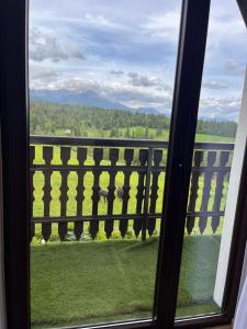 Apartamenty i Pokoje Gościnne U Trebuni