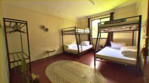 Cozy Homestay Bunkbed Room