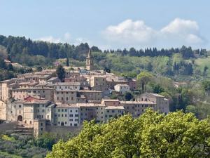 Vista Olivi