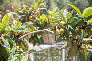 Grande appartamento img2