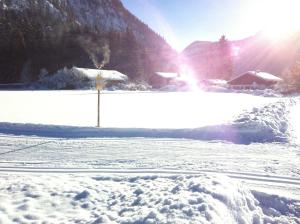 Ferienwohnung am Römerweg Wald