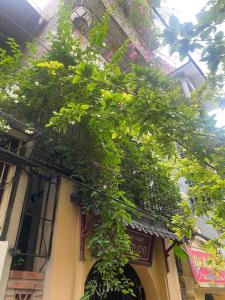 friendly homestay Xa Dan