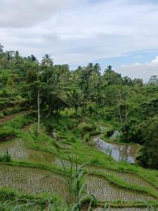 Mimi homestay-LOMBOK