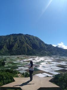 Mimi homestay-LOMBOK