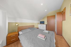 2 room apartment with terrace, Hriadky