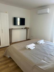 toledo 406 suite
