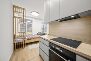 1 room apartment with garden, Nálepkova 1390