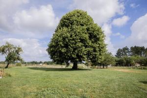Gîte Val De Loire proche Cheverny