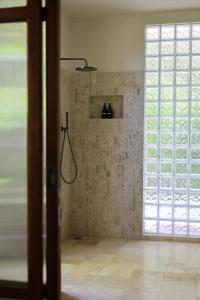 Big Modern Wellness Ice bath Pool & Zen Garden