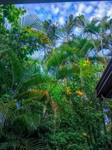 White Villa - Homestay